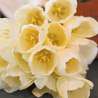 gelin cicegi13-333.jpg